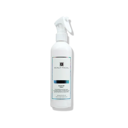 Blow Dry Spray