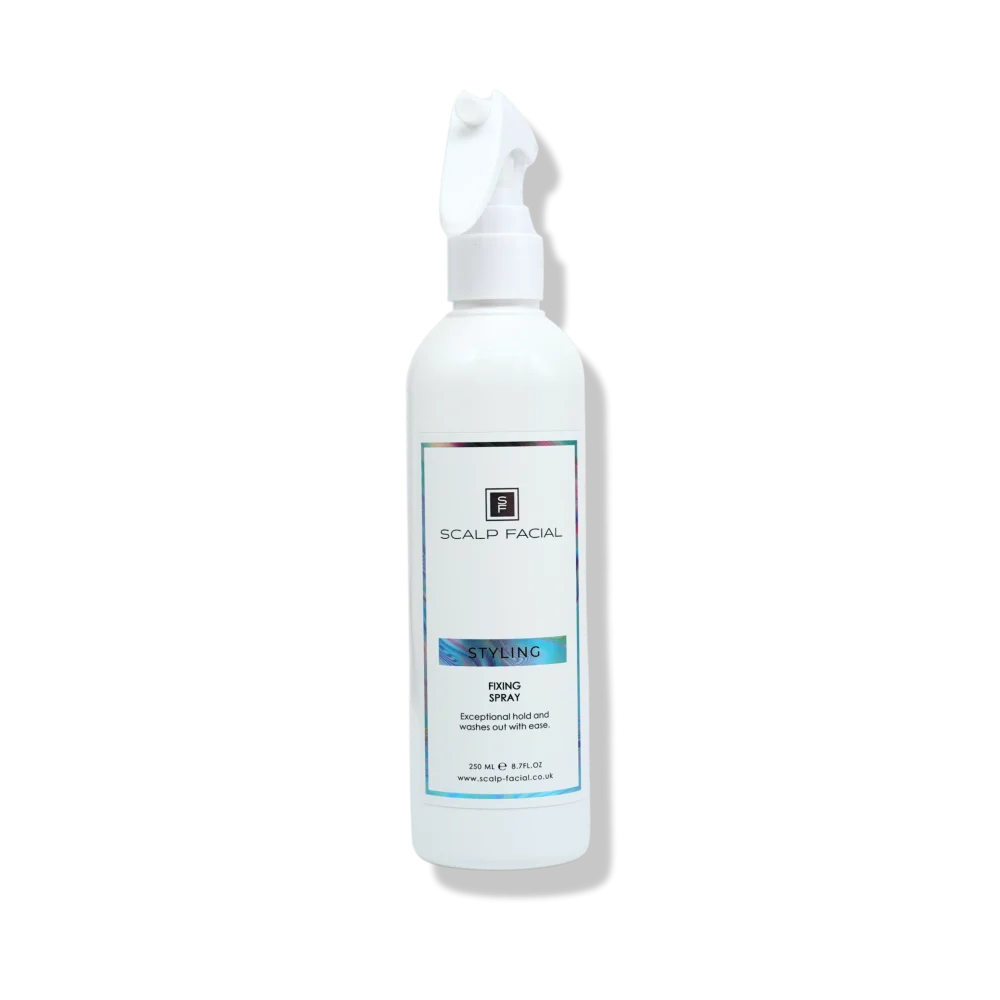 Fixing Spray